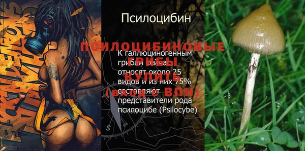 гашишное масло Белокуриха