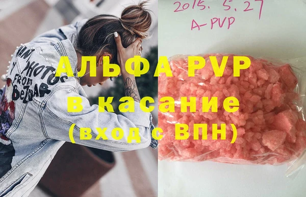 прущие грибы Балабаново
