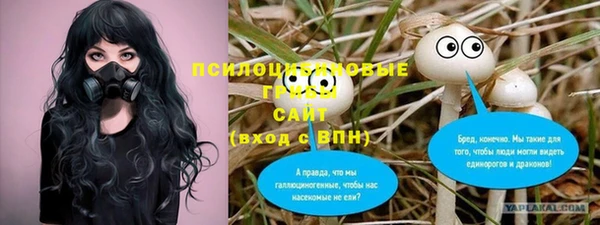тгк Беломорск