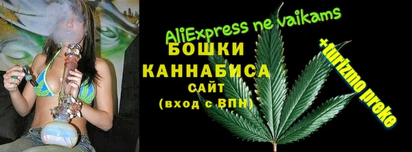 прущие грибы Балабаново